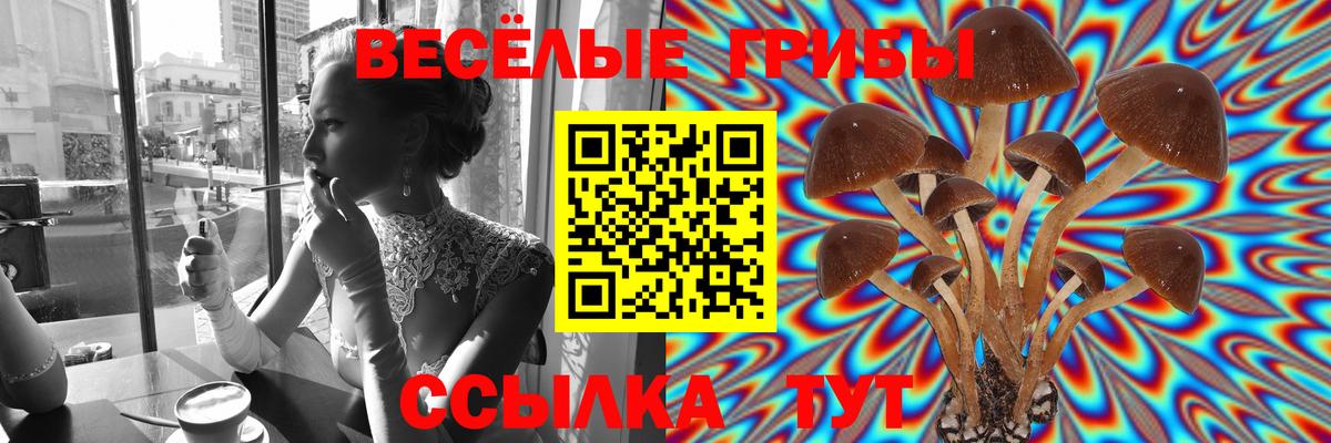Галлюциногенные грибы прущие грибы  Вход с VPN  Саратов  купить наркоту  Псилоцибиновые грибы мицелий 